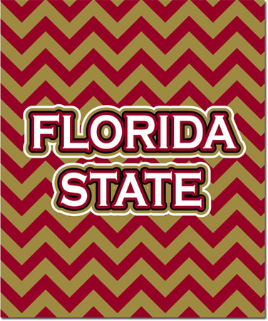 Plush College Blankets - Florida State #2