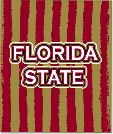 Plush College Blankets - Florida State #2