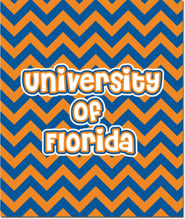 Plush College Blankets - Florida #1