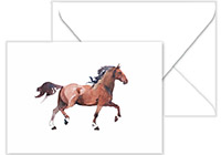 Boxed Folded Notes by Three Bees (Watercolor Horse)