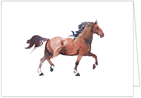 Boxed Folded Notes by Three Bees (Watercolor Horse)