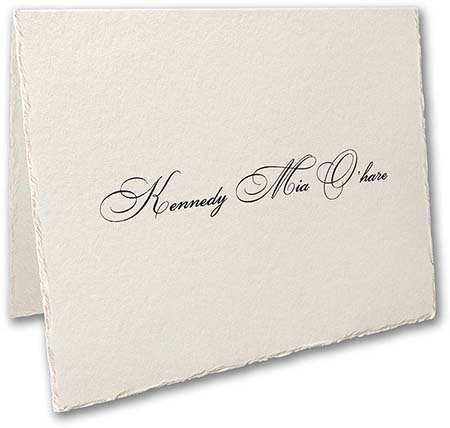 Simply Feather Deckle Thermography Printed Folded Note Cards by Carlson Craft
