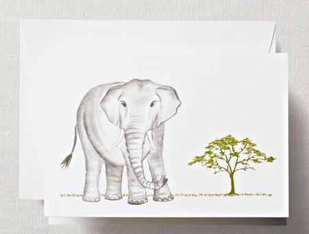 Boxed Stationery Sets by Crane - Brushstroke Elephant Note