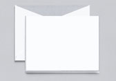 Boxed Thank You Notes by Crane (Silver Bordered)