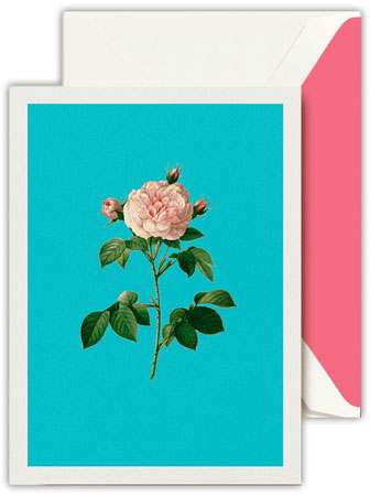 Boxed Thank You Notes by Crane (Modern Vintage Cabbage Rose) Boxed Thank You Notes by Crane (Modern Vintage Cabbage Rose)