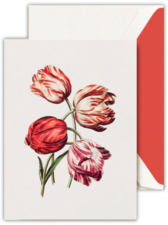Boxed Thank You Notes by Crane (Modern Vintage Tulips) Boxed Thank You Notes by Crane (Modern Vintage Tulips)