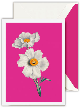 Boxed Thank You Notes by Crane (Modern Vintage White Poppies)