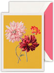 Boxed Thank You Notes by Crane (Modern Vintage Dahlia Stems)
