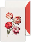 Boxed Thank You Notes by Crane (Modern Vintage Tulips)