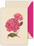 Boxed Thank You Notes by Crane (Modern Vintage Peonies)