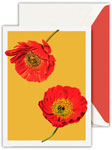 Boxed Thank You Notes by Crane (Modern Vintage Poppies)