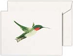 Boxed Folded Notes by Crane (Brushstroke Hummingbird)