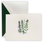 Boxed Folded Notes by Crane (Engraved Garden Herbs)