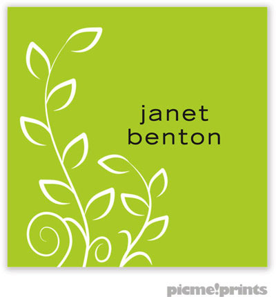 PicMe Prints - Gift Stickers - Trailing Vine Chartreuse PicMe Prints - Gift Stickers - Trailing Vine Chartreuse