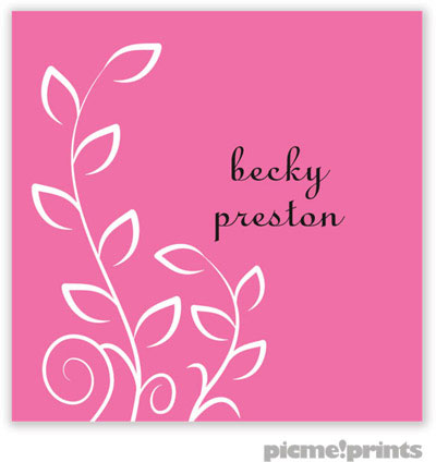 PicMe Prints - Gift Stickers - Trailing Vine Bubblegum PicMe Prints - Gift Stickers - Trailing Vine Bubblegum