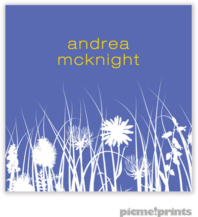 PicMe Prints - Gift Stickers - Meadow Periwinkle PicMe Prints - Gift Stickers - Meadow Periwinkle