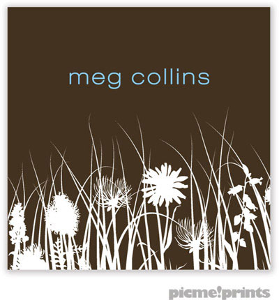 PicMe Prints - Gift Stickers - Meadow Espresso