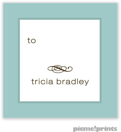 PicMe Prints - Gift Stickers - Seaglass Robin's Egg