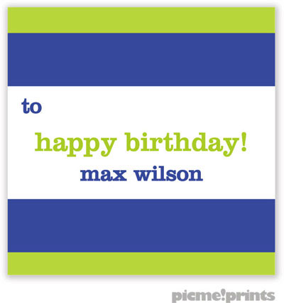 PicMe Prints - Gift Stickers - Bold Bands Chartreuse/Cobalt