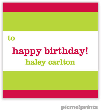 PicMe Prints - Gift Stickers - Bold Bands Watermelon/Chartreuse