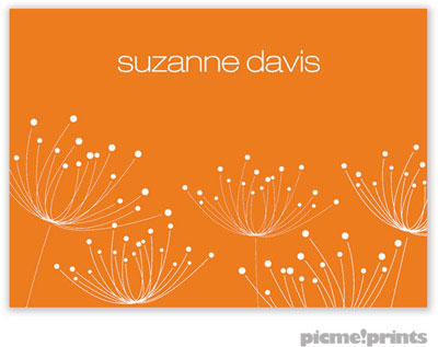 PicMe Prints - Gift Stickers - Dandelions White on Tangerine