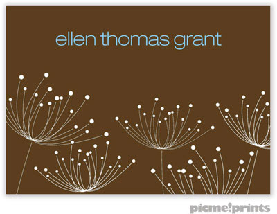 PicMe Prints - Gift Stickers - Dandelions White on Chocolate