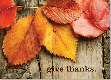 Thanksgiving Greeting Cards by Birchcraft Studios - Give Thanks