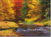 Thanksgiving Greeting Cards by Birchcraft Studios - Splashes Of Color