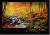 Thanksgiving Greeting Cards by Birchcraft Studios - Radiant Thanks