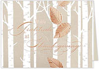 Thanksgiving Greeting Cards by Carlson Craft - Birch Gratitude with Foil